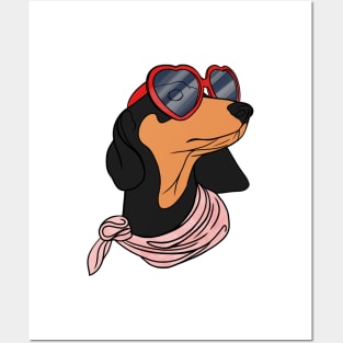 Cute dachshund Posters and Art